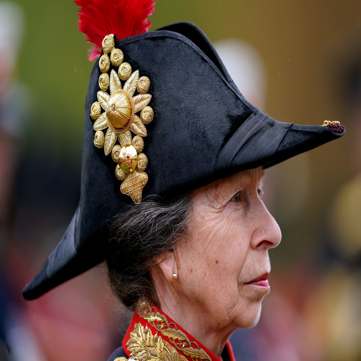 Anne, Princess Royal: Will Her Title and Role Change Under King