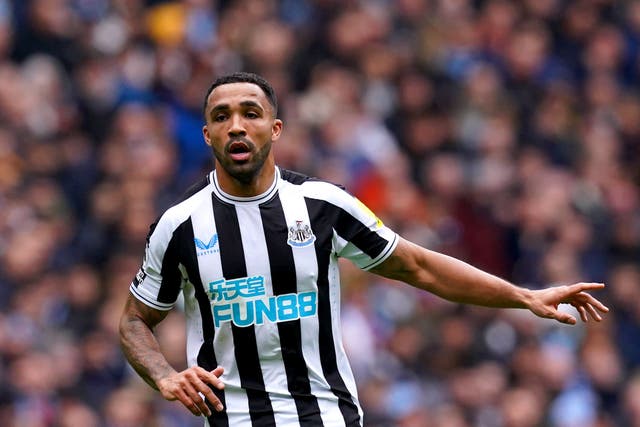 Callum Wilson has scored eight goals in his last seven games for Newcastle (Martin Rickett/PA)