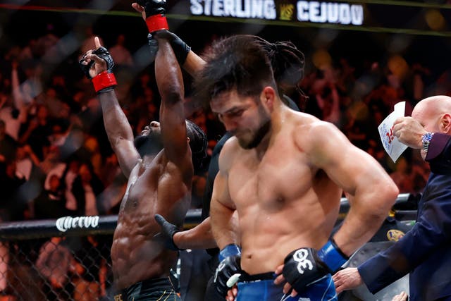 <p>Henry Cejudo (right) reacts to his split-decision loss to Aljamain Sterling</p>