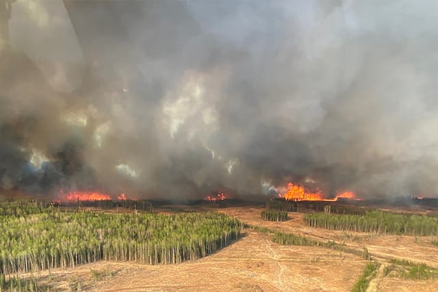 <p>A smoke column rises from wildfire WWF023 near Fox Creek, Alberta, Canada </p>