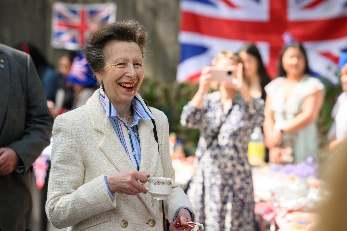 Princess Anne says she has ‘no idea’ what profession she might have chosen in another life Princess Anne says she has ‘no idea’ what profession she might have chosen in another life