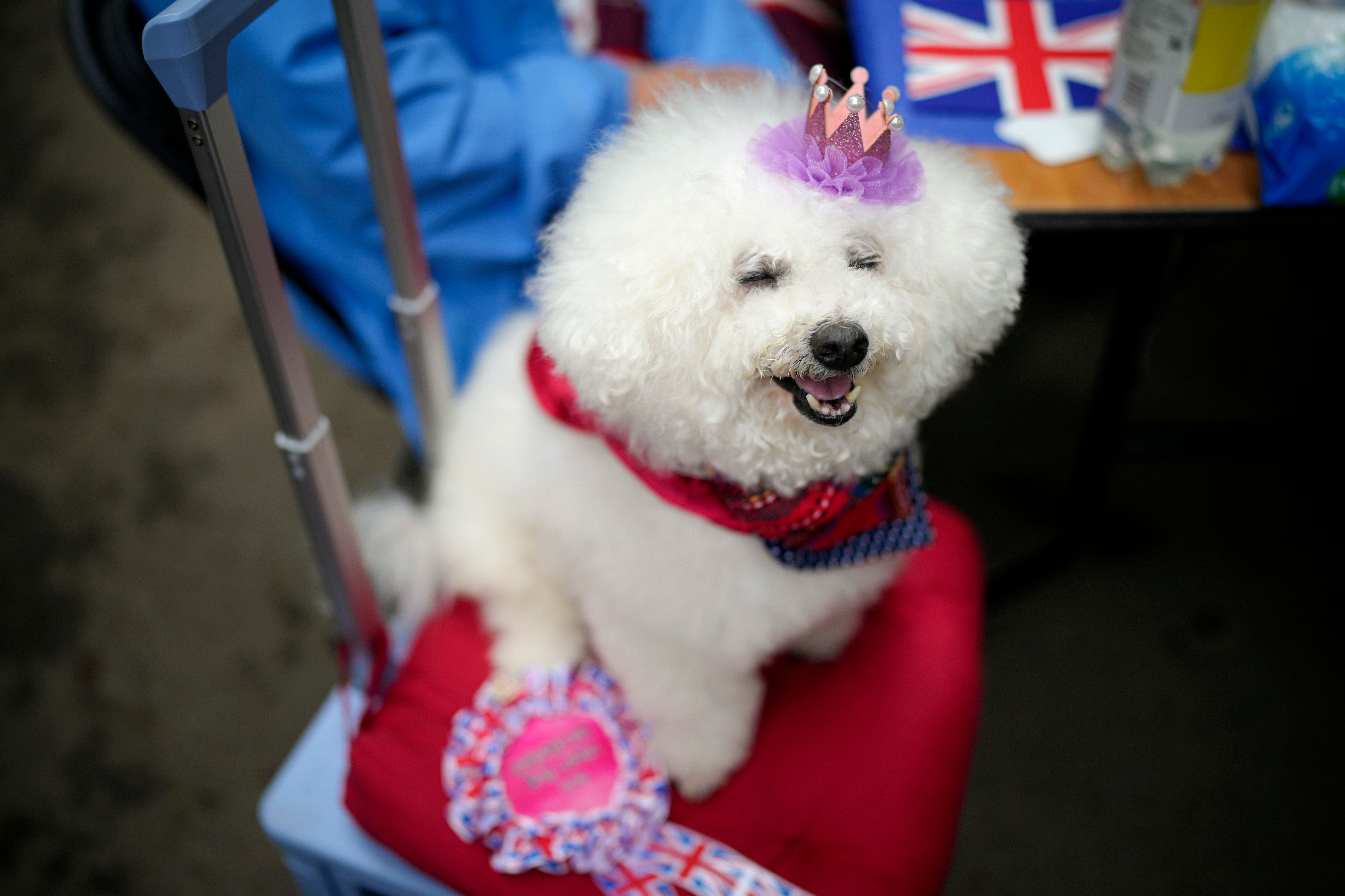 GBRETAÑA-CORONACIÓN