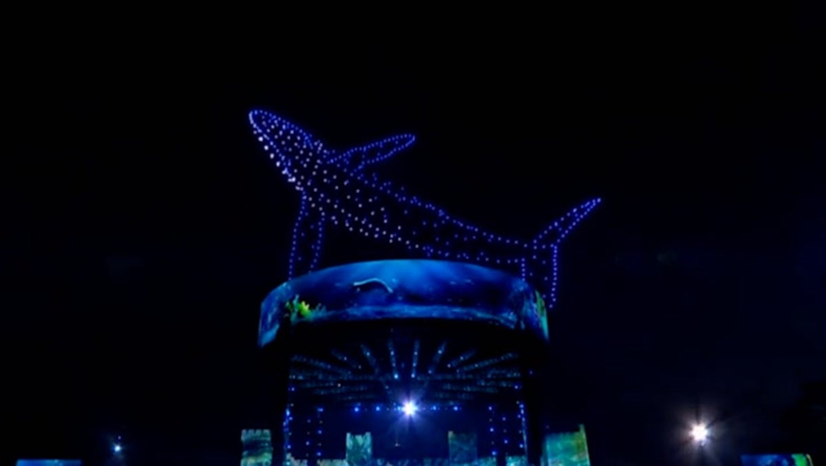Whales, owls and tigers: Drone show lights up sky above coronation concert