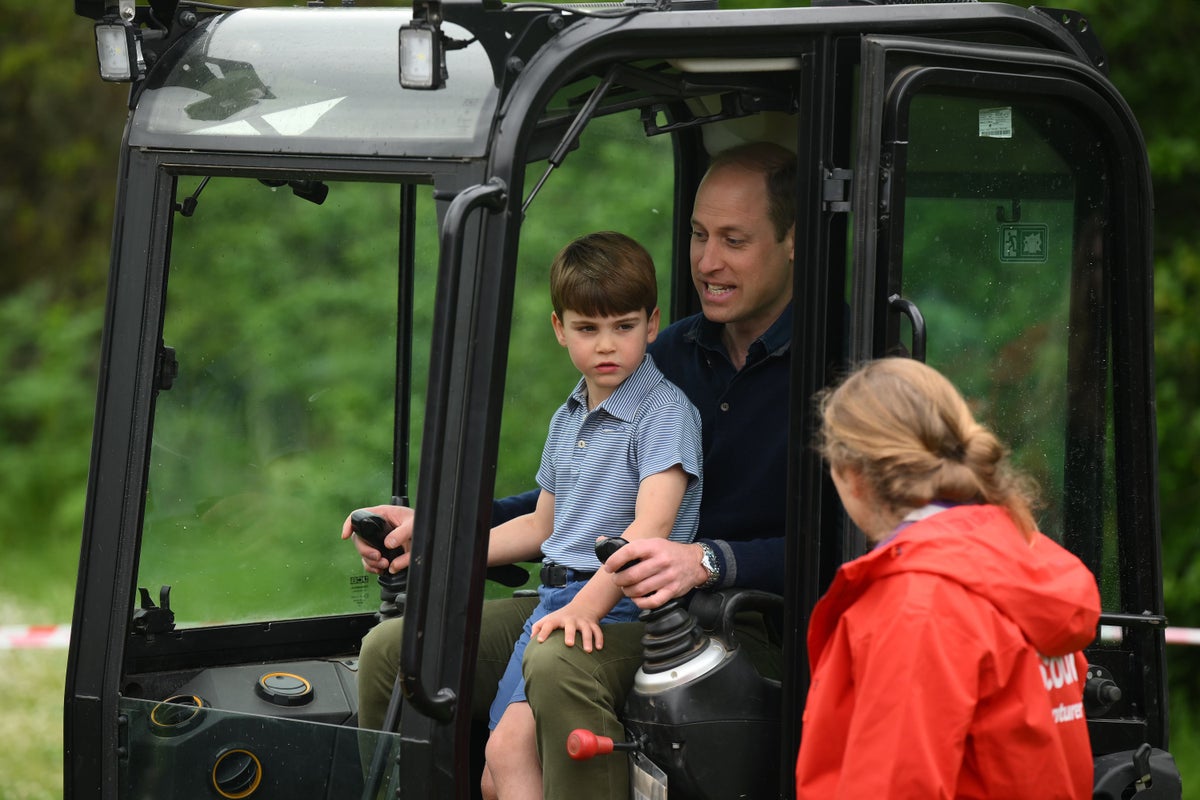 Bemused Prince Louis tasked with driving digger alongside Prince William on first royal engagement