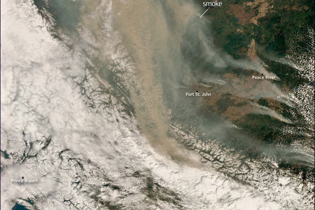 <p>The huge plume of smoke from Alberta’s dozens of wildfires is visible from space</p>