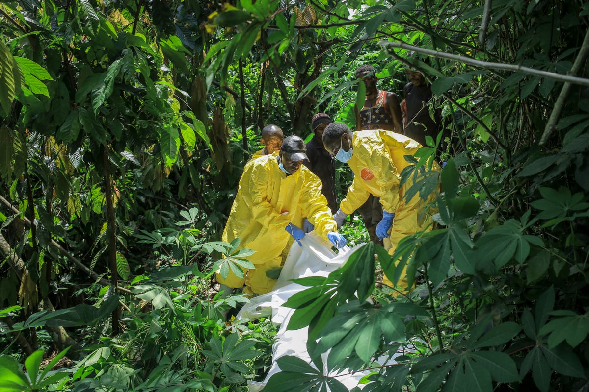 20 mayat ditemukan di kuburan massal Kongo, dugaan pemberontak ADF