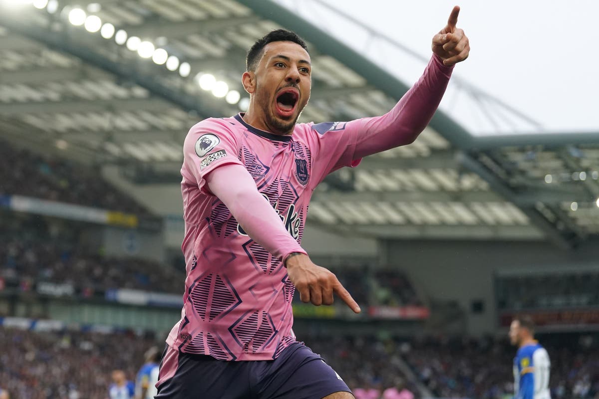 Everton mengejutkan Brighton untuk meningkatkan harapan bertahan hidup saat Southampton berada di ambang bahaya