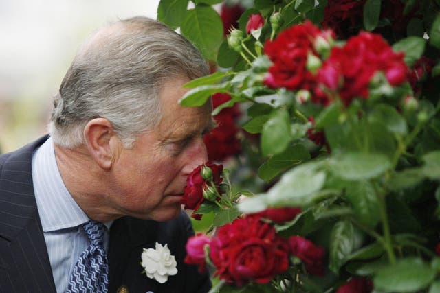 Royal tributes lead the way at this year’s Chelsea Garden Show (Sang Tan/PA)