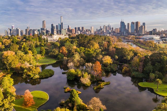 <p>Explore the ancestral lands of the Eastern Kulin Nation on an Aboriginal Heritage Walk at Melbourne’s Royal Botanic Gardens</p>