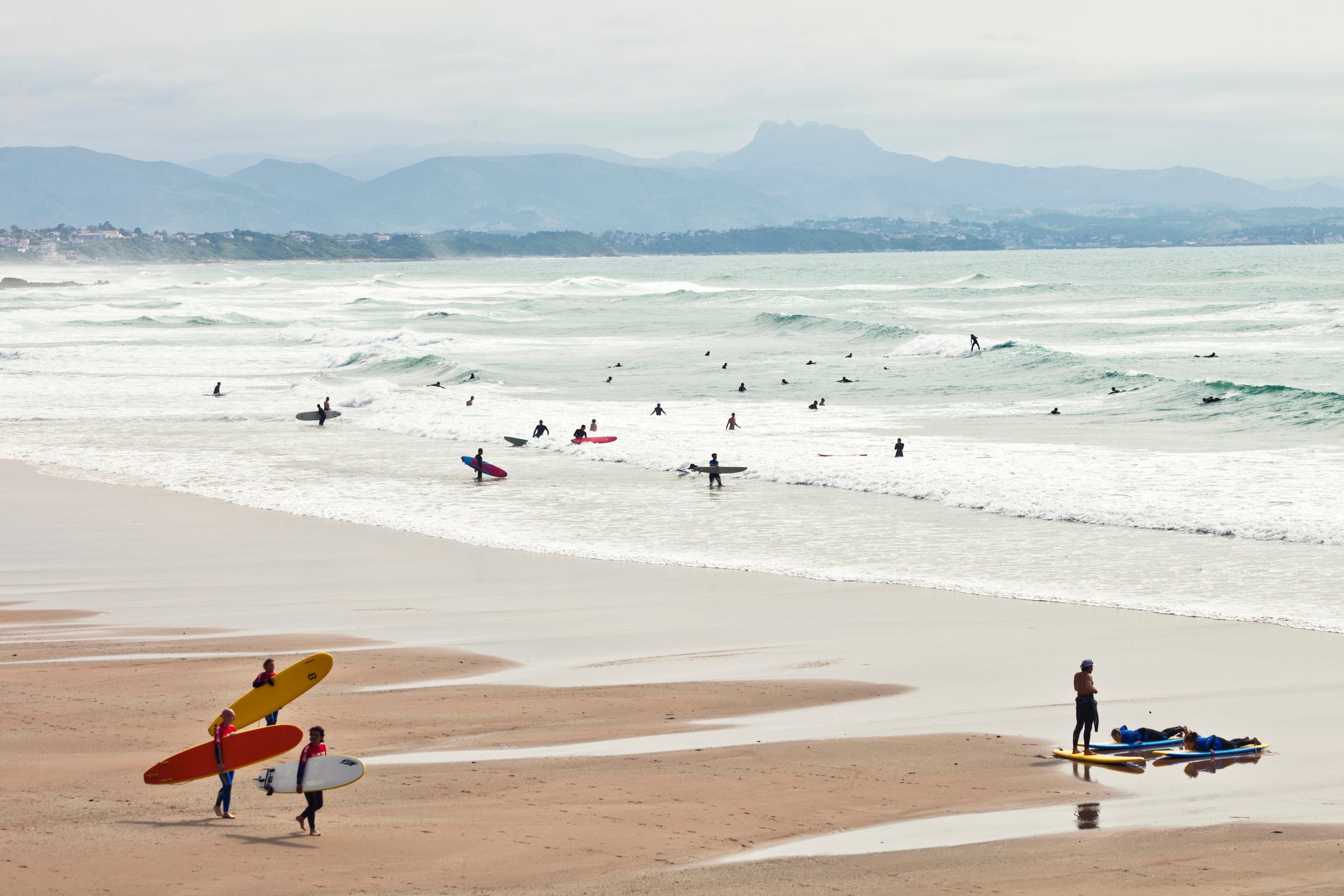 ANSES raised the alarm on the creeping menace when they reported an outbreak in the popular sufring destination Biarritz, pictured