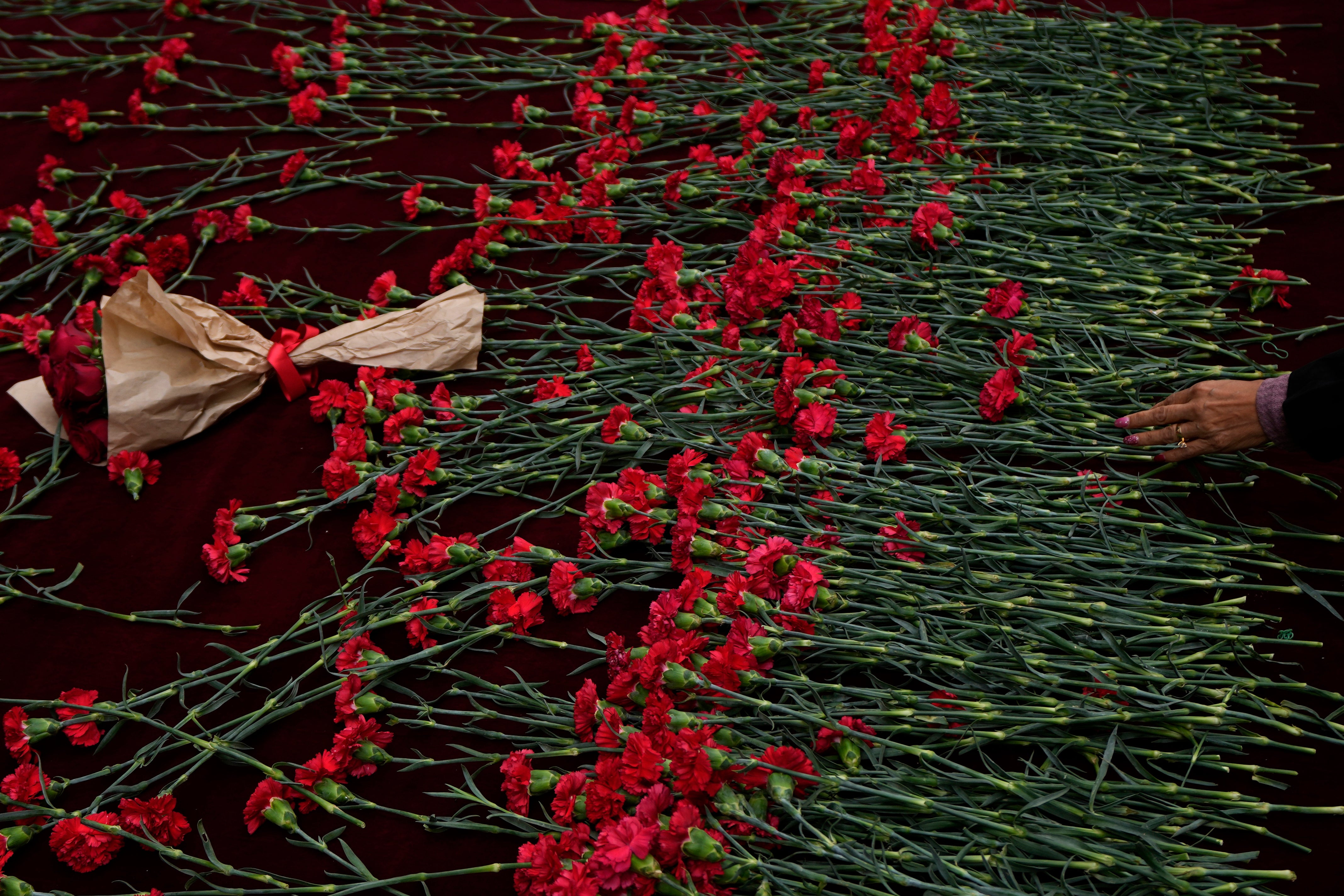 Turkey Attack Explainer