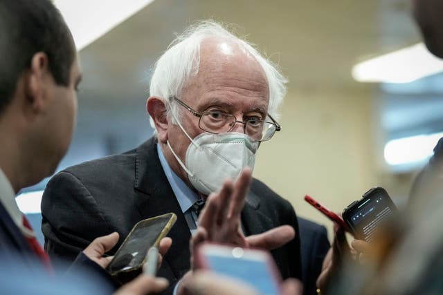 <p>Senator Bernie Sanders speaks to reporters</p>