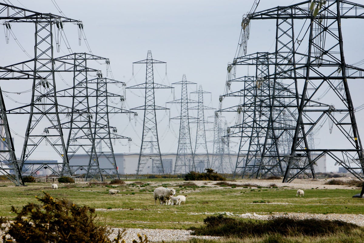 Tory former ministers seek changes to major energy legislation