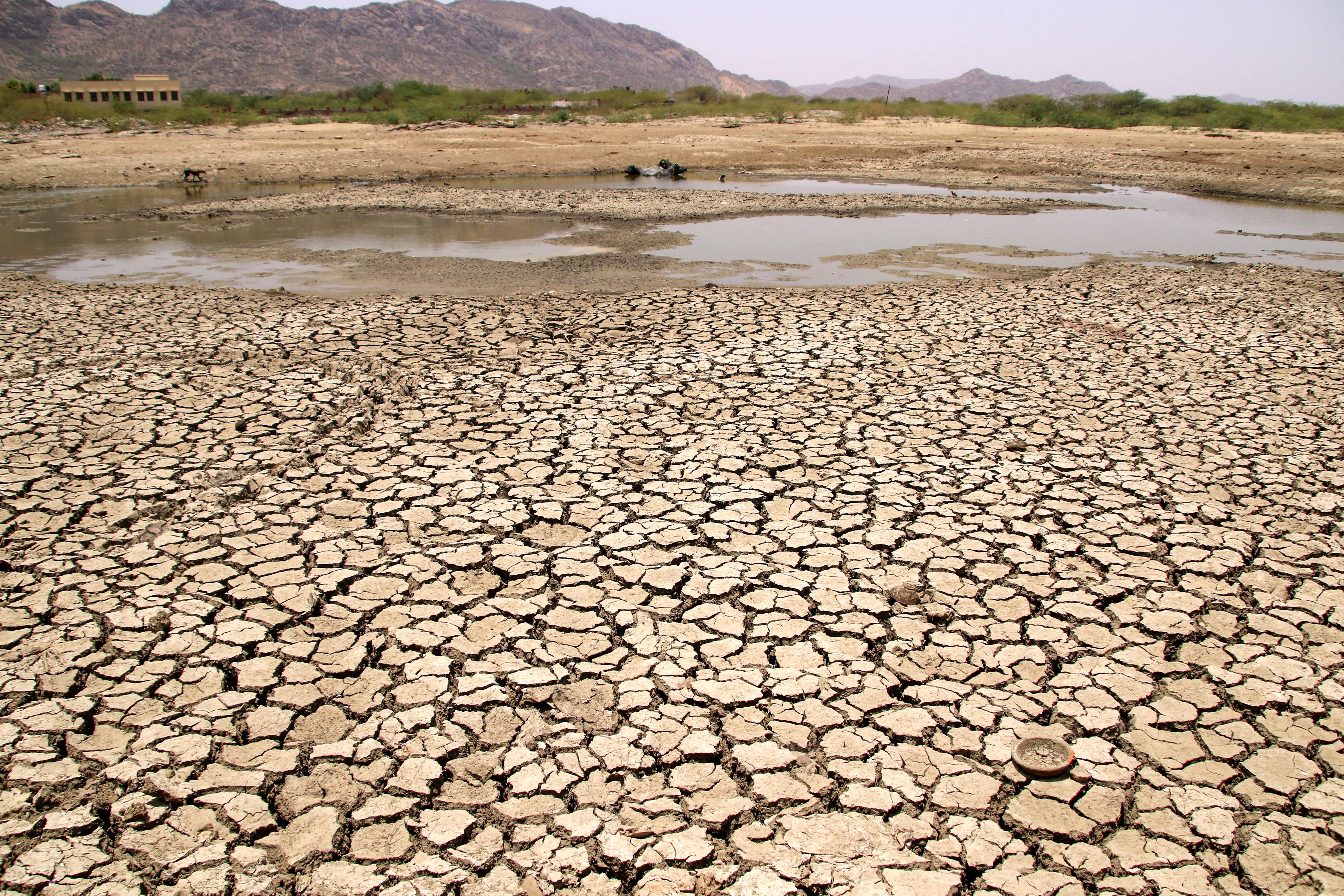 View of a lake running dry on a hot summer day near Ajmer, Rajasthan