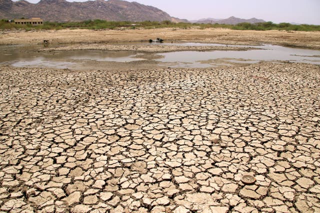 <p>View of a lake running dry on a hot summer day near Ajmer, Rajasthan</p>
