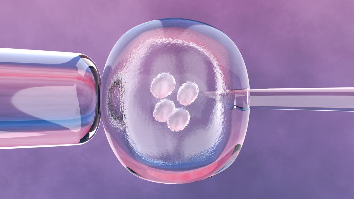 “IVF Procedure Produces First Baby in UK with DNA from Three Parents”