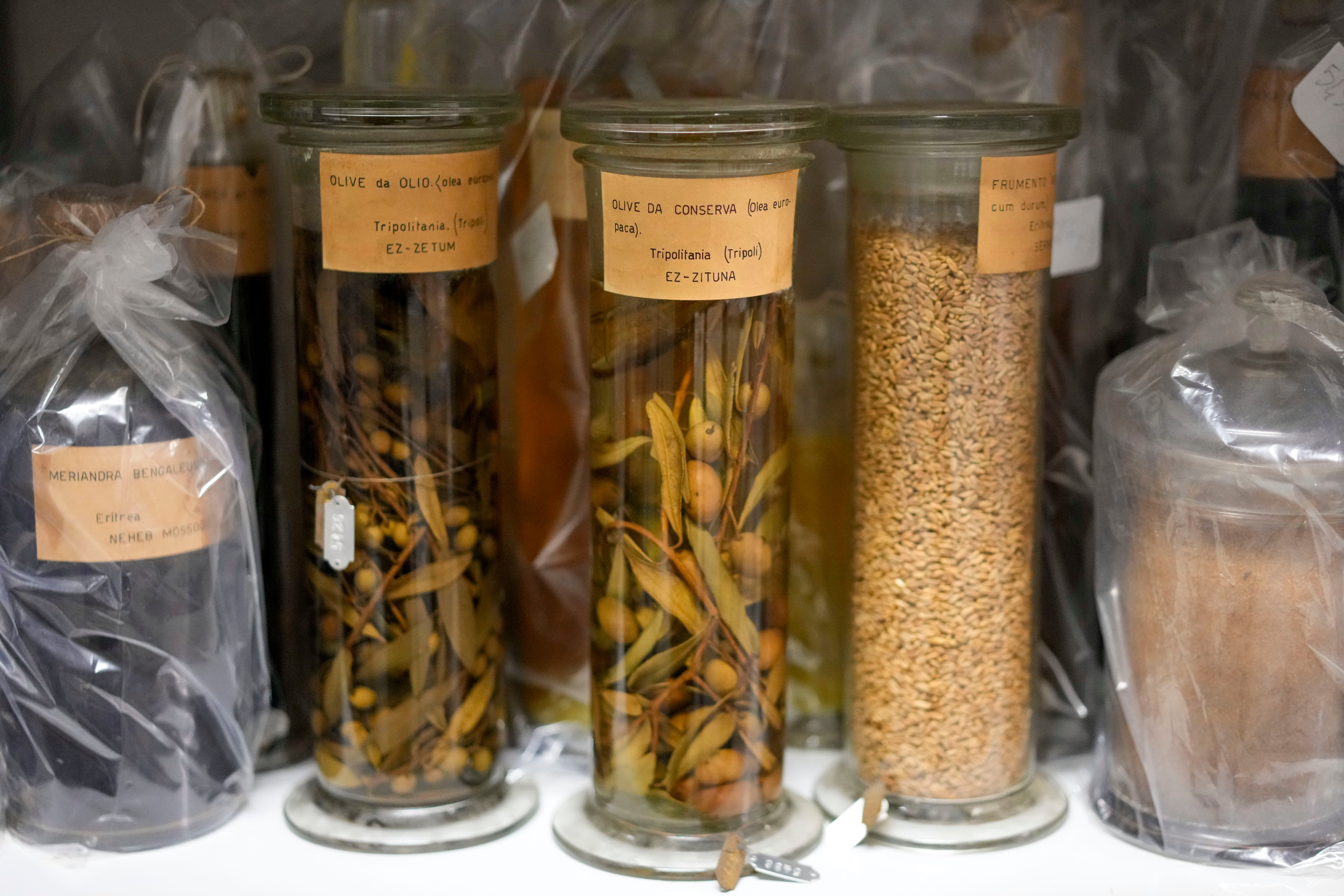 Italy Colonial Reckoning