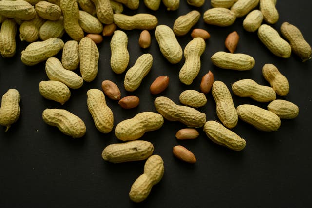 Peanut Allergy Patch