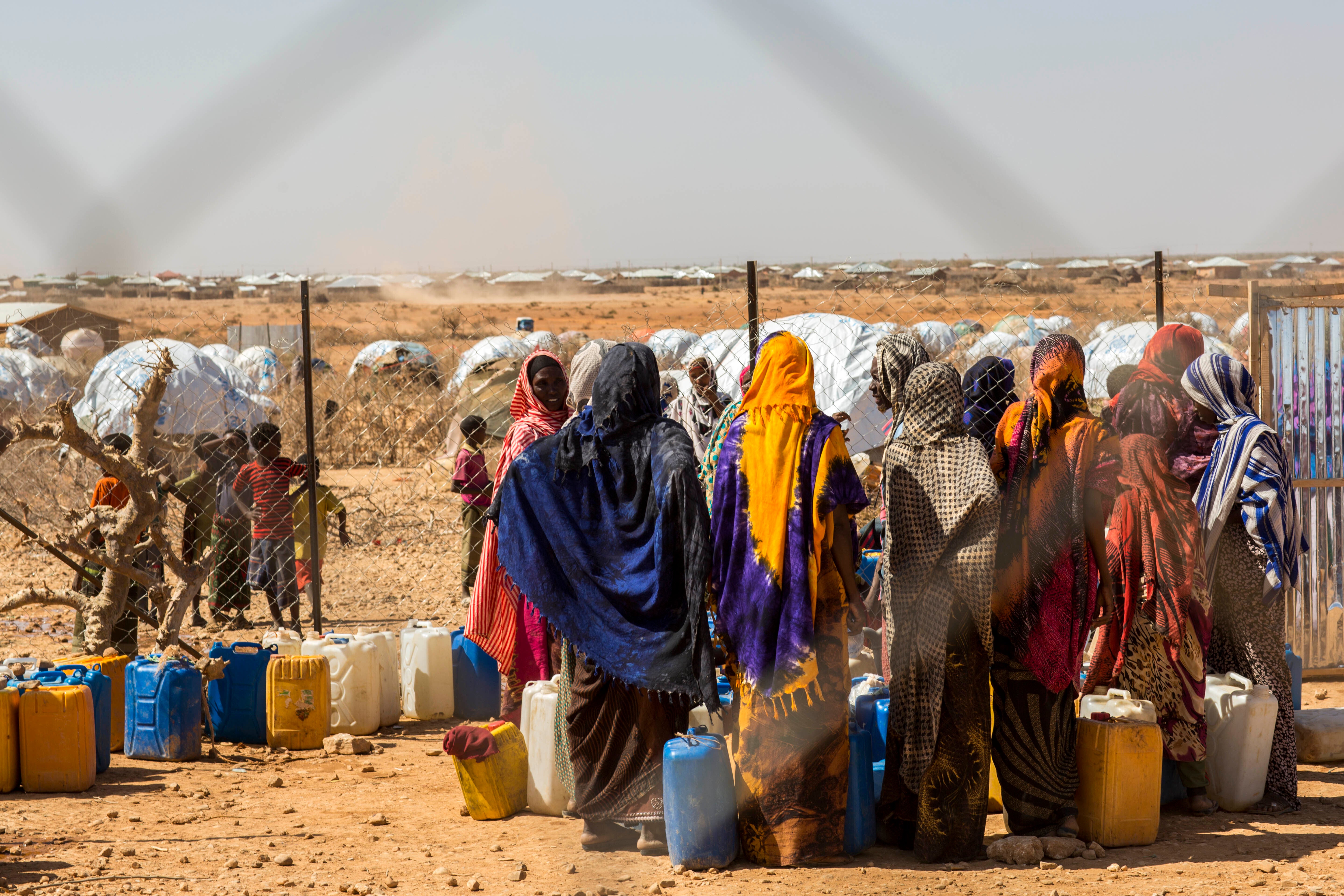 Displaced People Global Report