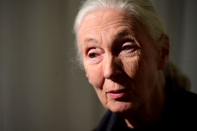 Dr Jane Goodall (Ian West/PA)