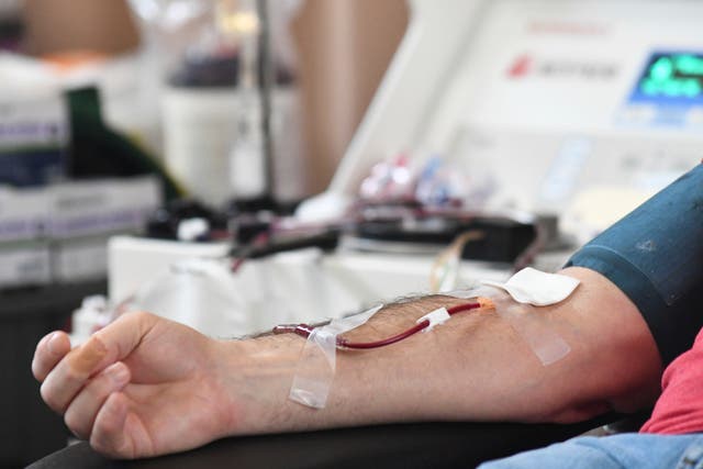 Blood Donations Gay Men