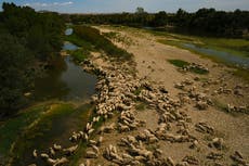 Spain announces exceptional drought measures worth $2.4B