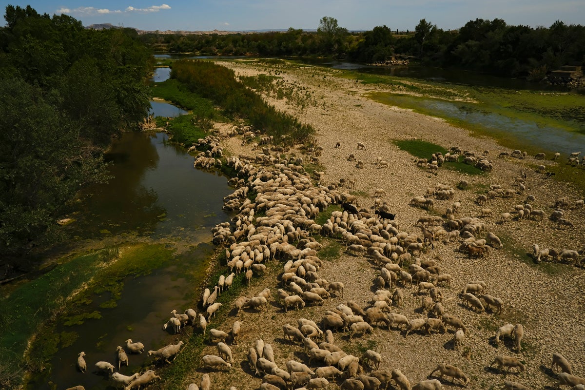 Spain announces exceptional drought measures worth $2.4B