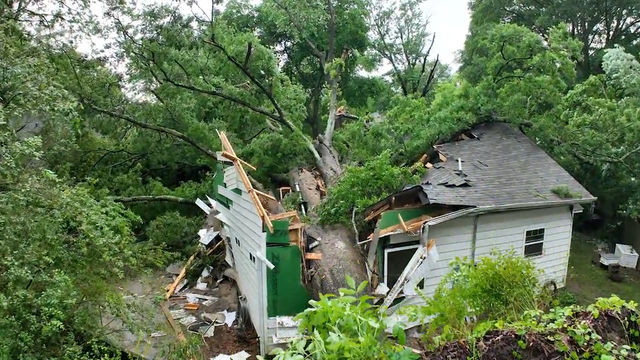 <p>Aftermath of 600-year-old oak tree splitting house in half in Arkansas</p>