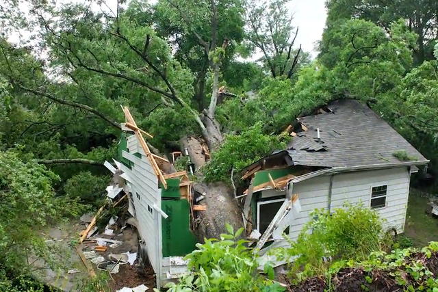 <p>Aftermath of 600-year-old oak tree splitting house in half in Arkansas</p>