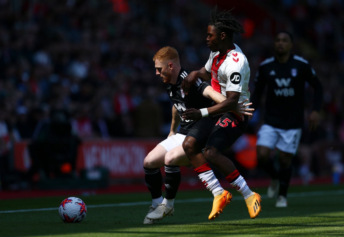 Southampton vs Fulham LIVE: Premier League latest score, goals and updates from fixture