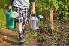 How to encourage green-fingered kids