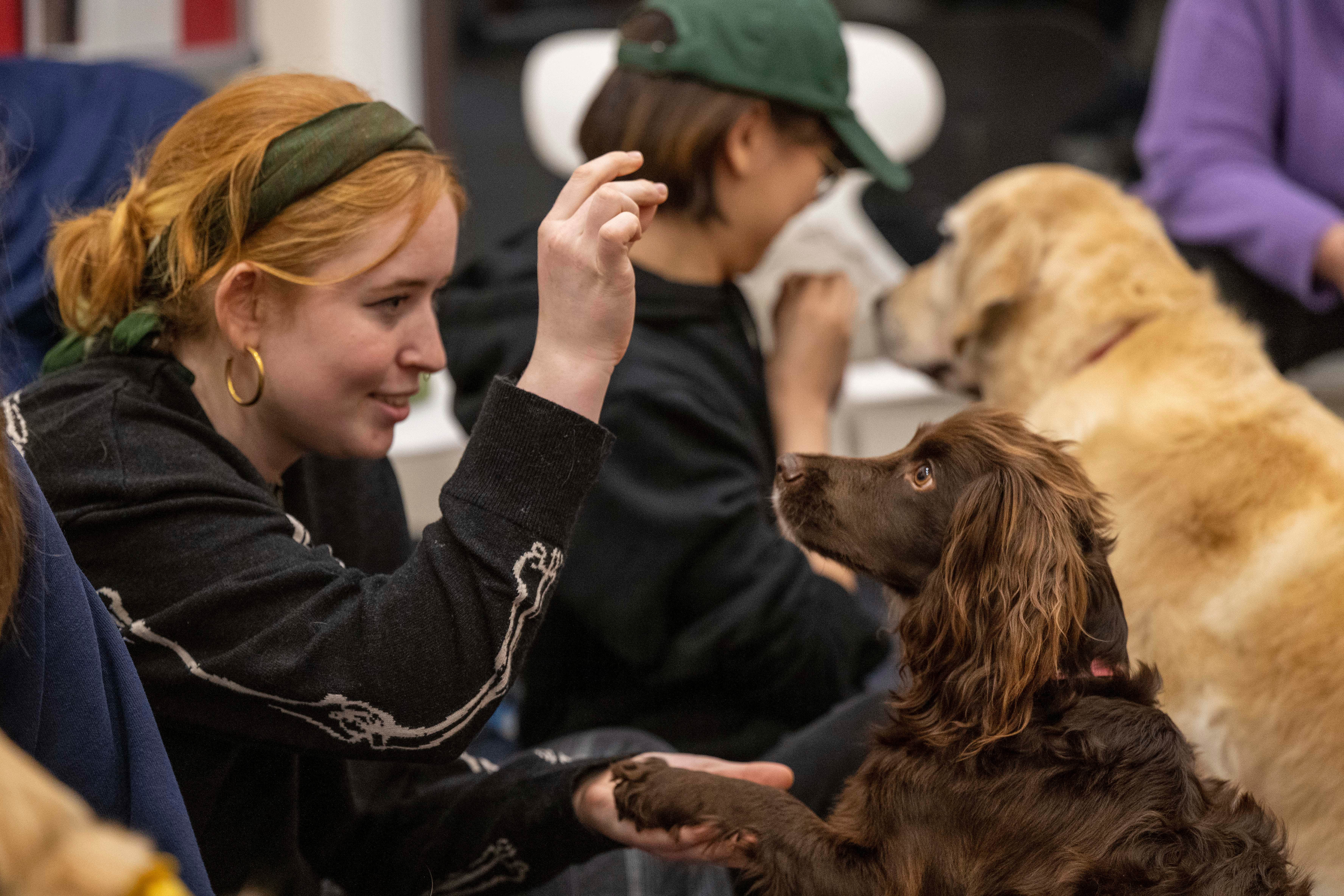 The University of Edinburgh has launched a new programme using dogs to help with the mental health of its students (University of Edinburgh)