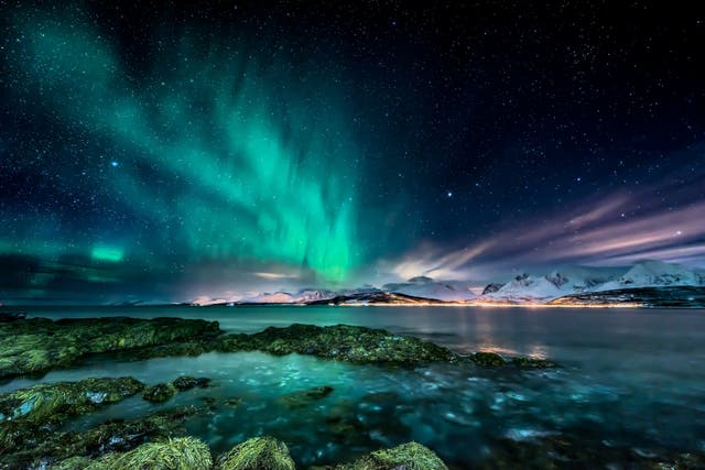 <p>A view of the Northern Lights from the Norwegian coast </p>