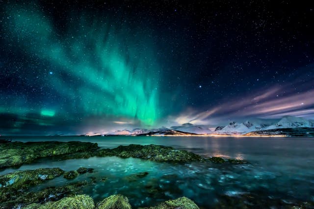 <p>A view of the Northern Lights from the Norwegian coast </p>