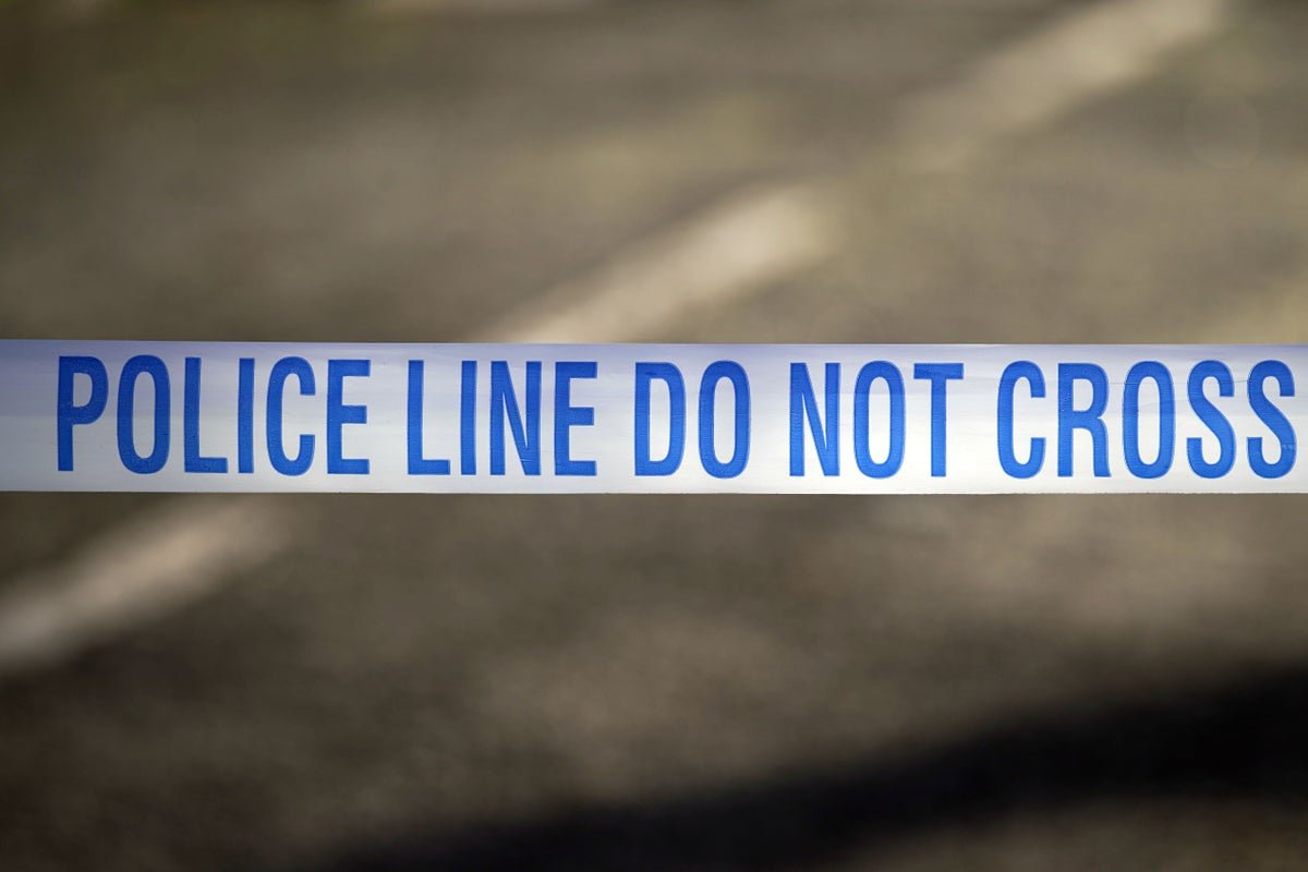 Man, 77, arrested on suspicion of murder after elderly woman ‘attacked’ in broad daylight