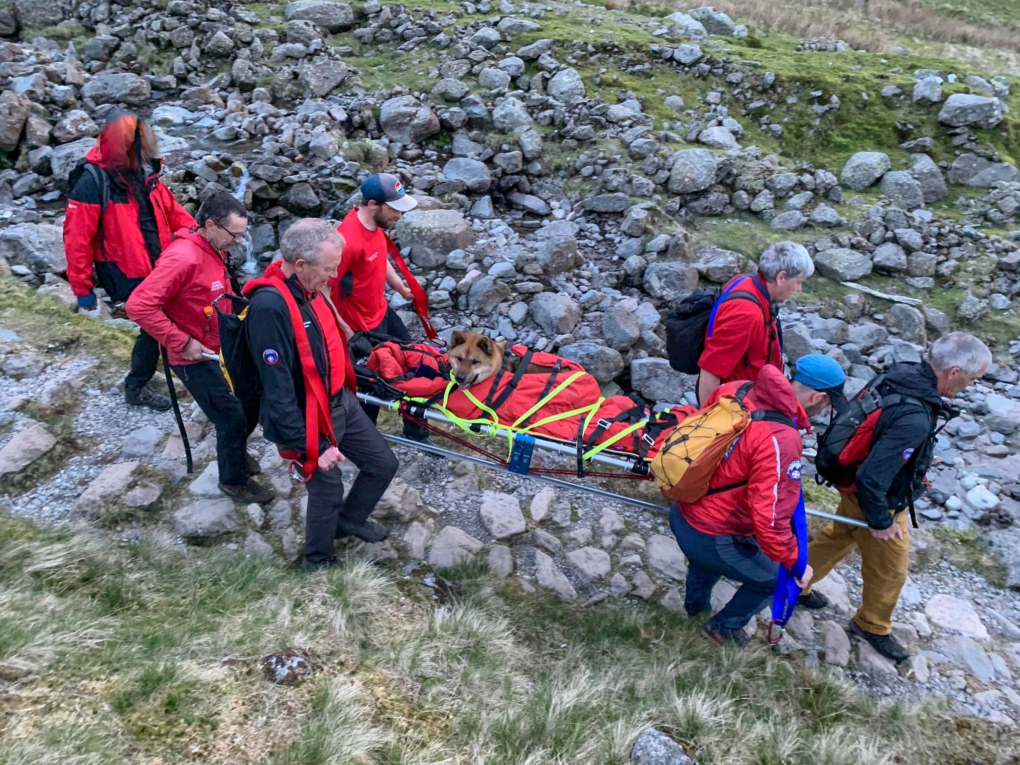 Rocky in his ‘cas bag’ being carried down Scafell Pike