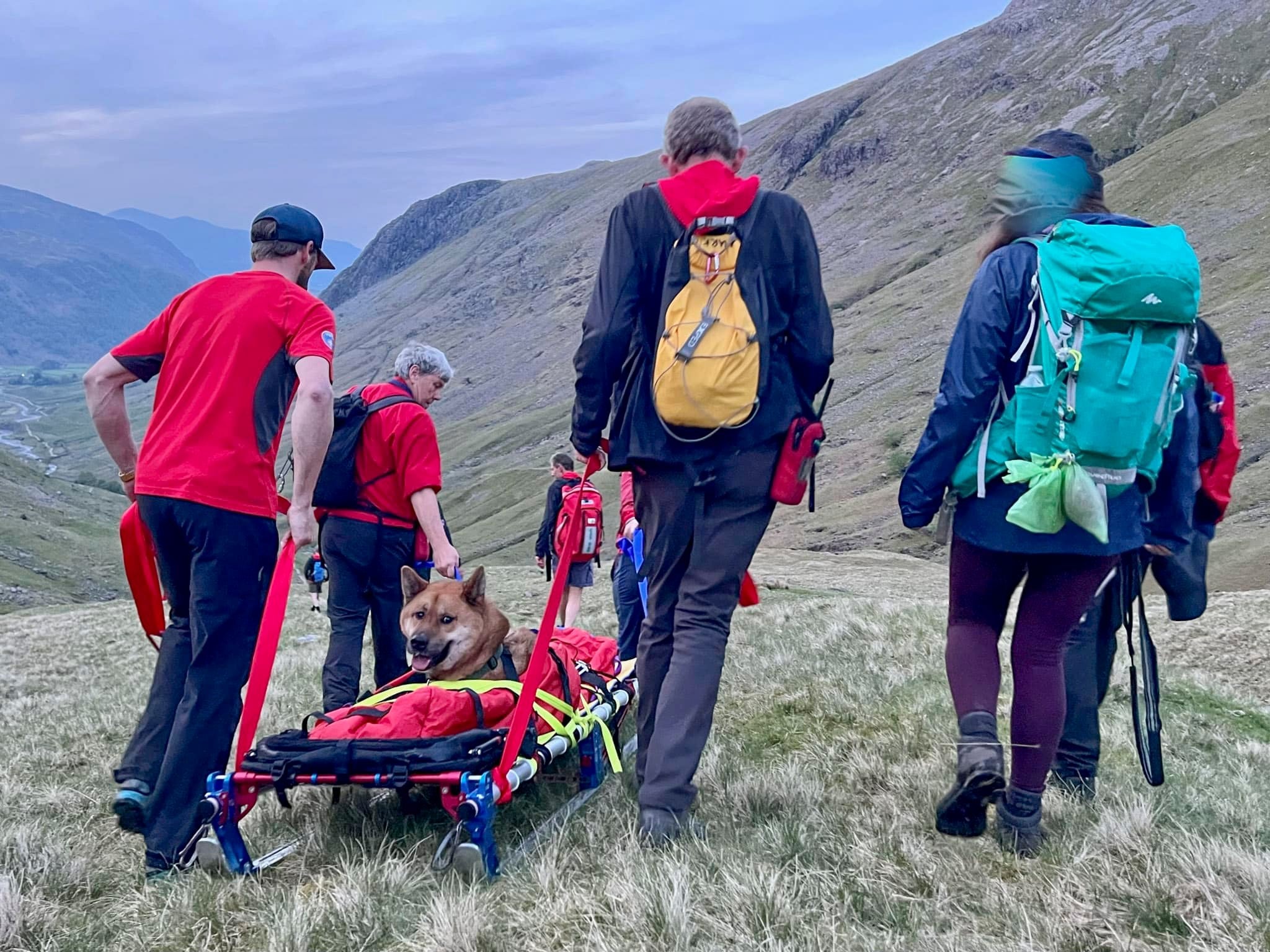 Rocky being pulled along in a sled in the heart of the Lake District