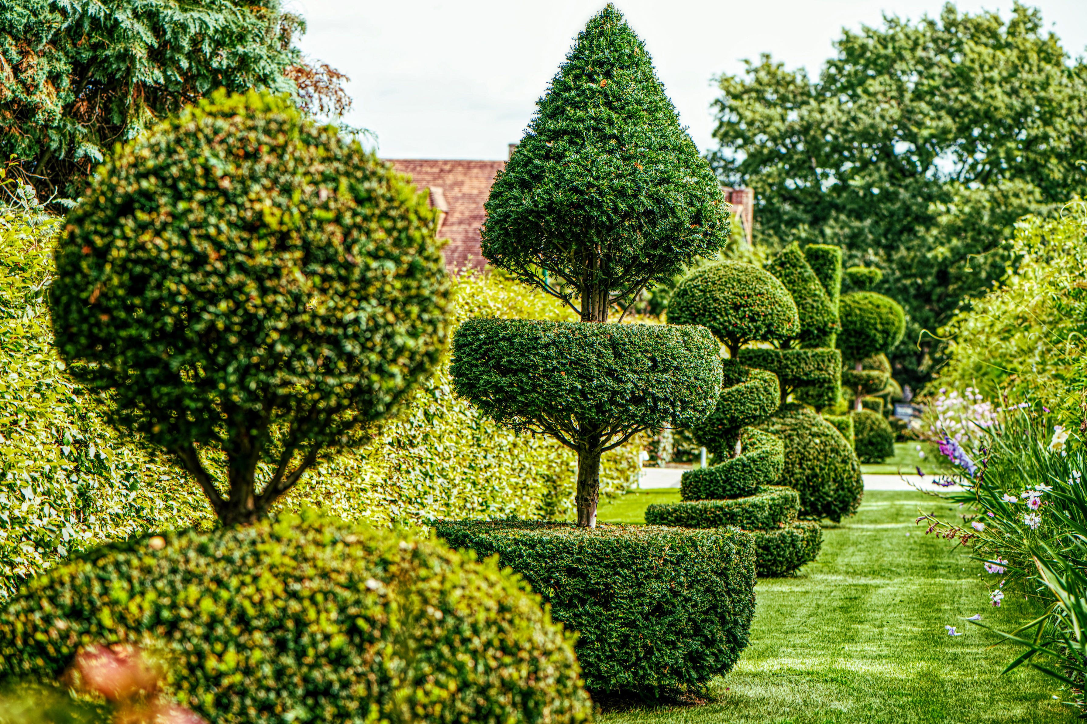 A beginner’s guide to topiary | The Independent