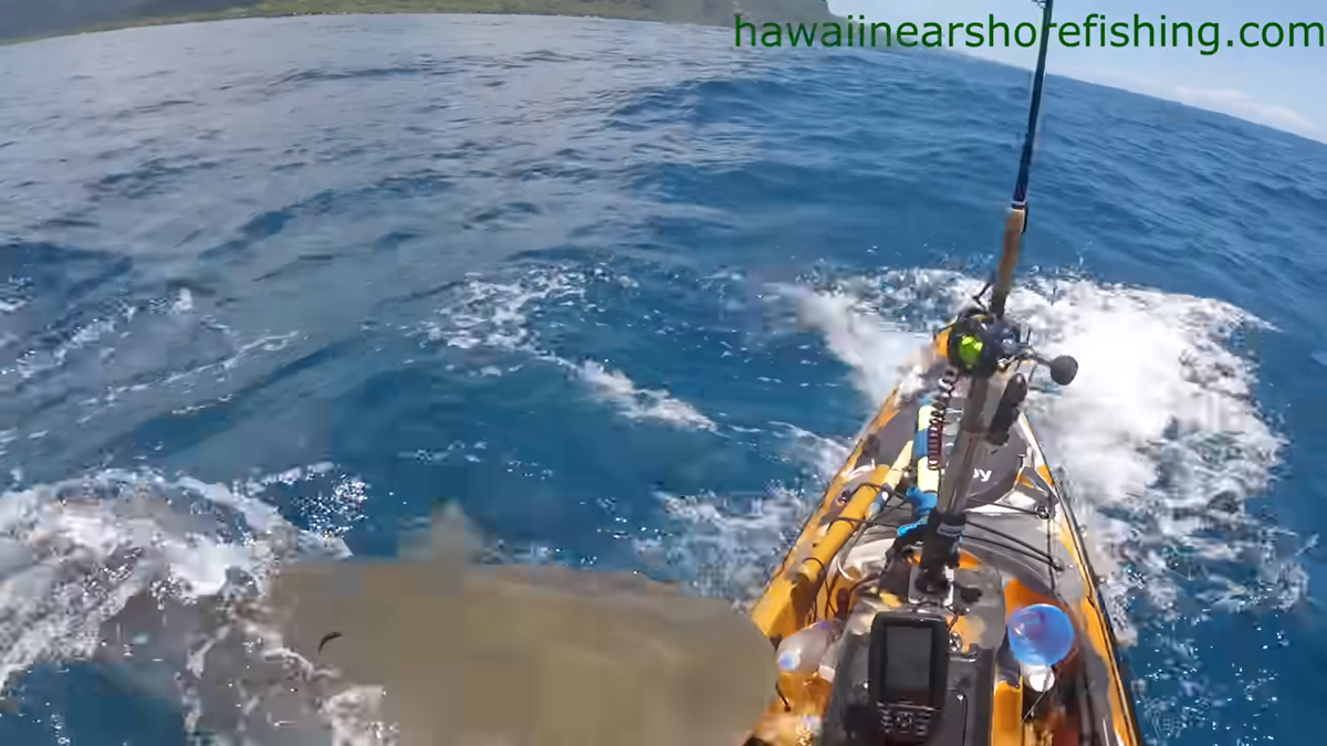 Kajakarz kręci dramatyczny film z ataku rekina na Hawajach