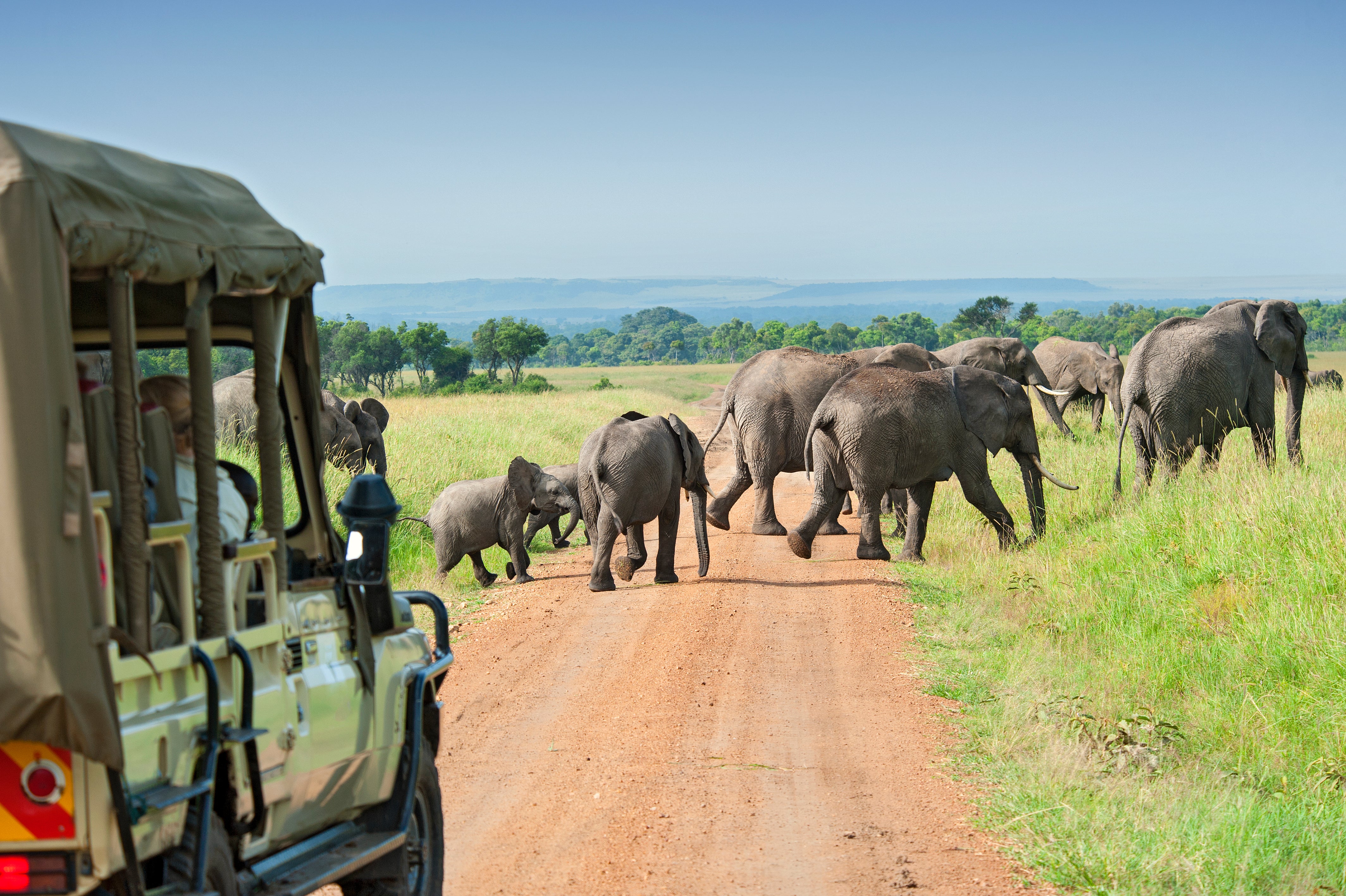 Animal lovers can safari with elephants in the Masai Mara