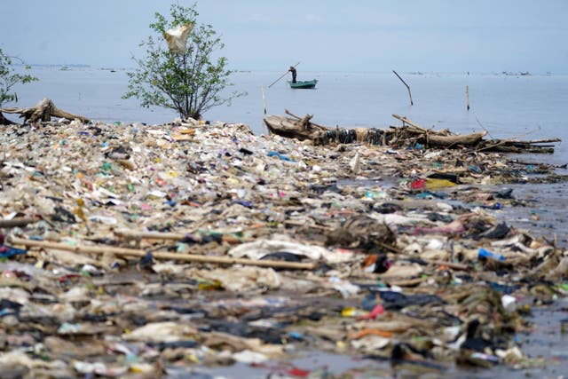 Plastic pollution clogs up oceans and beaches across the world which can be devastating for wildlife (Owen Humphreys/PA)