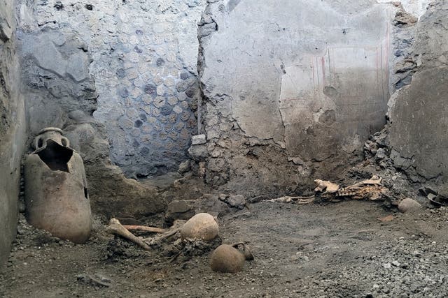 Italy Pompeii Skeletons