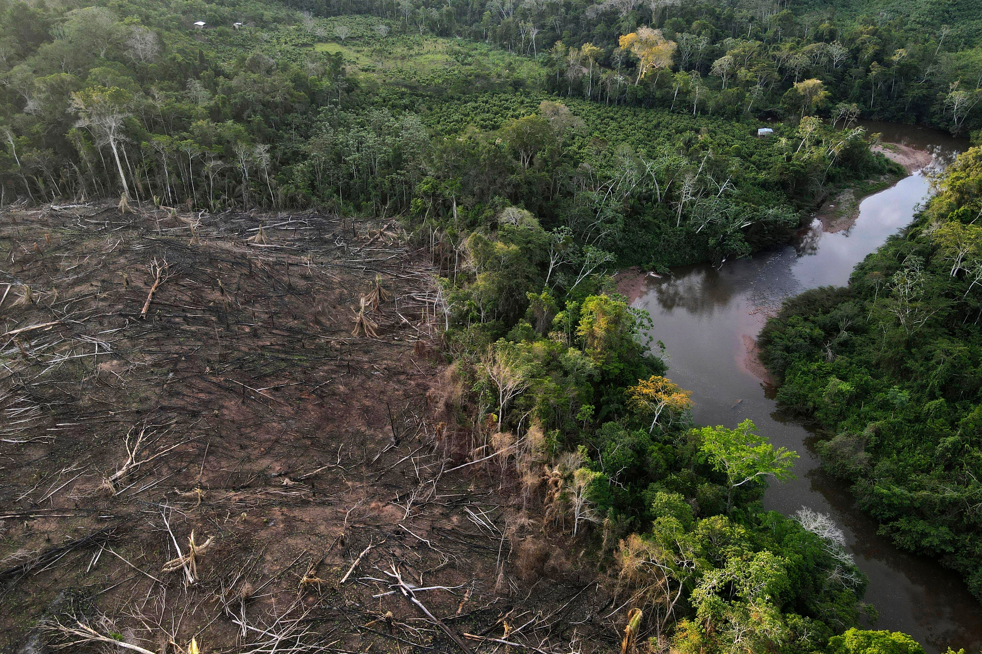 Climate Deforestation Law