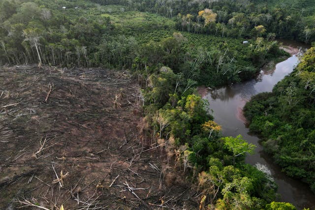 Climate Deforestation Law
