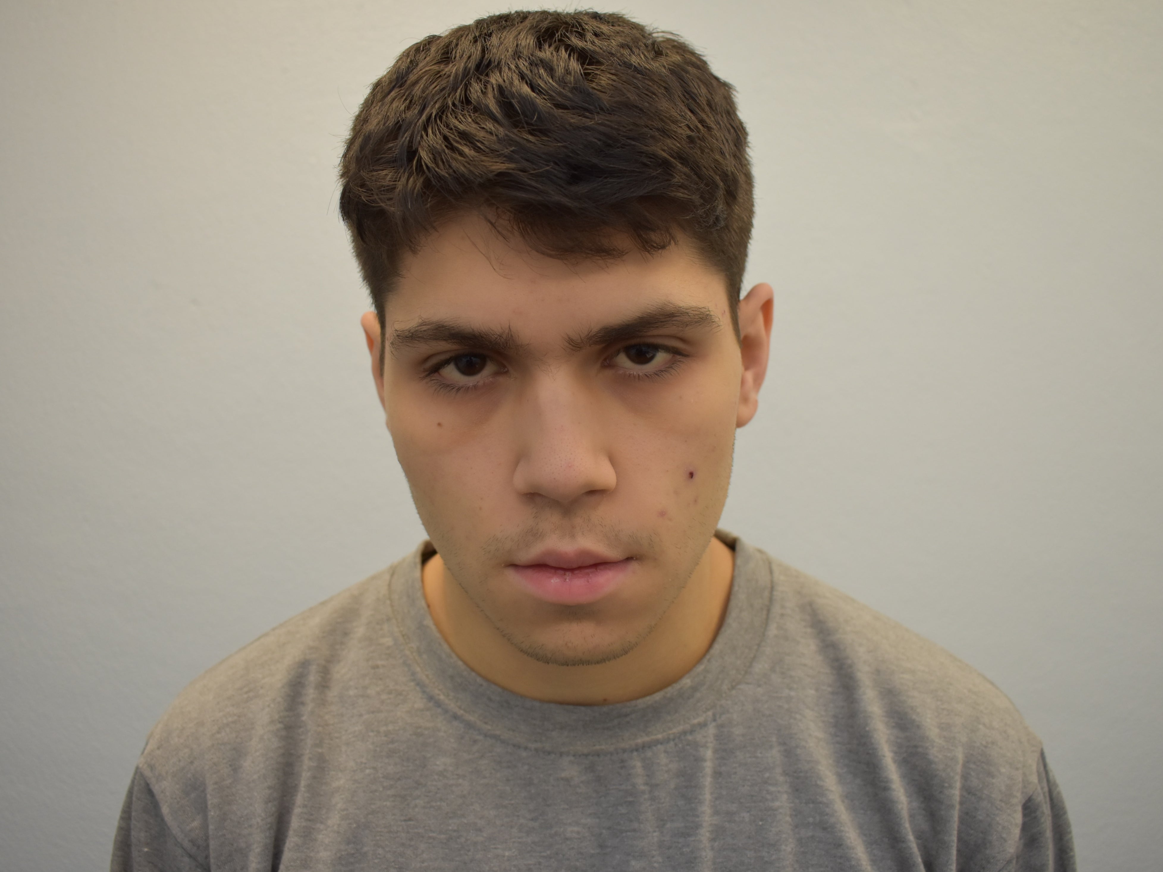 Luke Skelton, 19, was convicted of preparing an act of terrorism