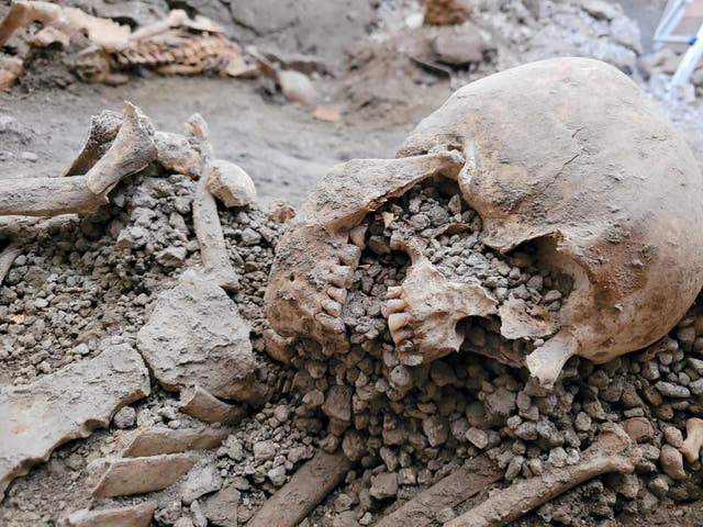 <p>One of the two discovered skeleton</p>