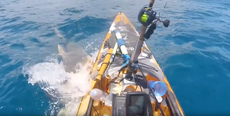Kayaker captures dramatic video of shark attack after mistaking deadly predator for turtle