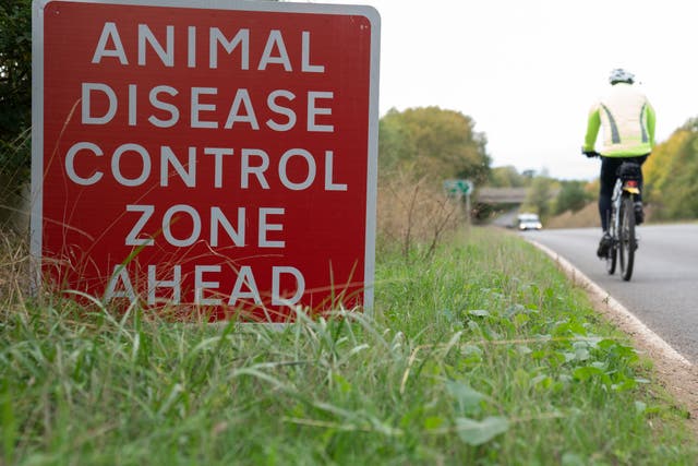 The cases are believed to be linked to exposure to sick birds on a single poultry farm (Joe Giddens/PA)