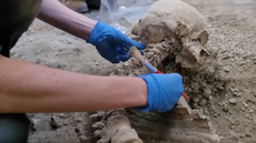 Remains of Pompeii men who ‘died in earthquake’ before Vesuvius eruption found