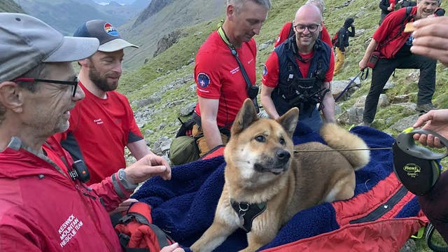 <p>Dog carried down Lake District mountain after it ‘refused to move’</p>